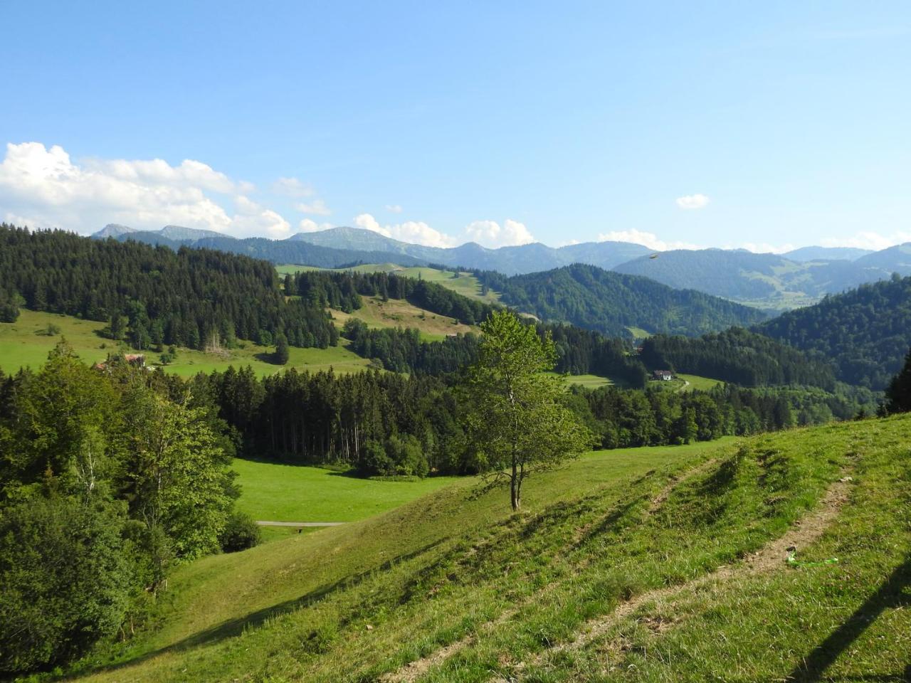 Ferienwohnungen Am Schlossberg Oberstaufen Ngoại thất bức ảnh